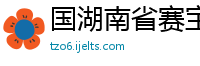 国湖南省赛宝软件服务有限公司